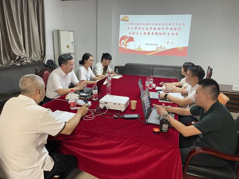 64efea191fbfd.png 成都片区结合党支部组织召开主题教育专题组织生涯会.png