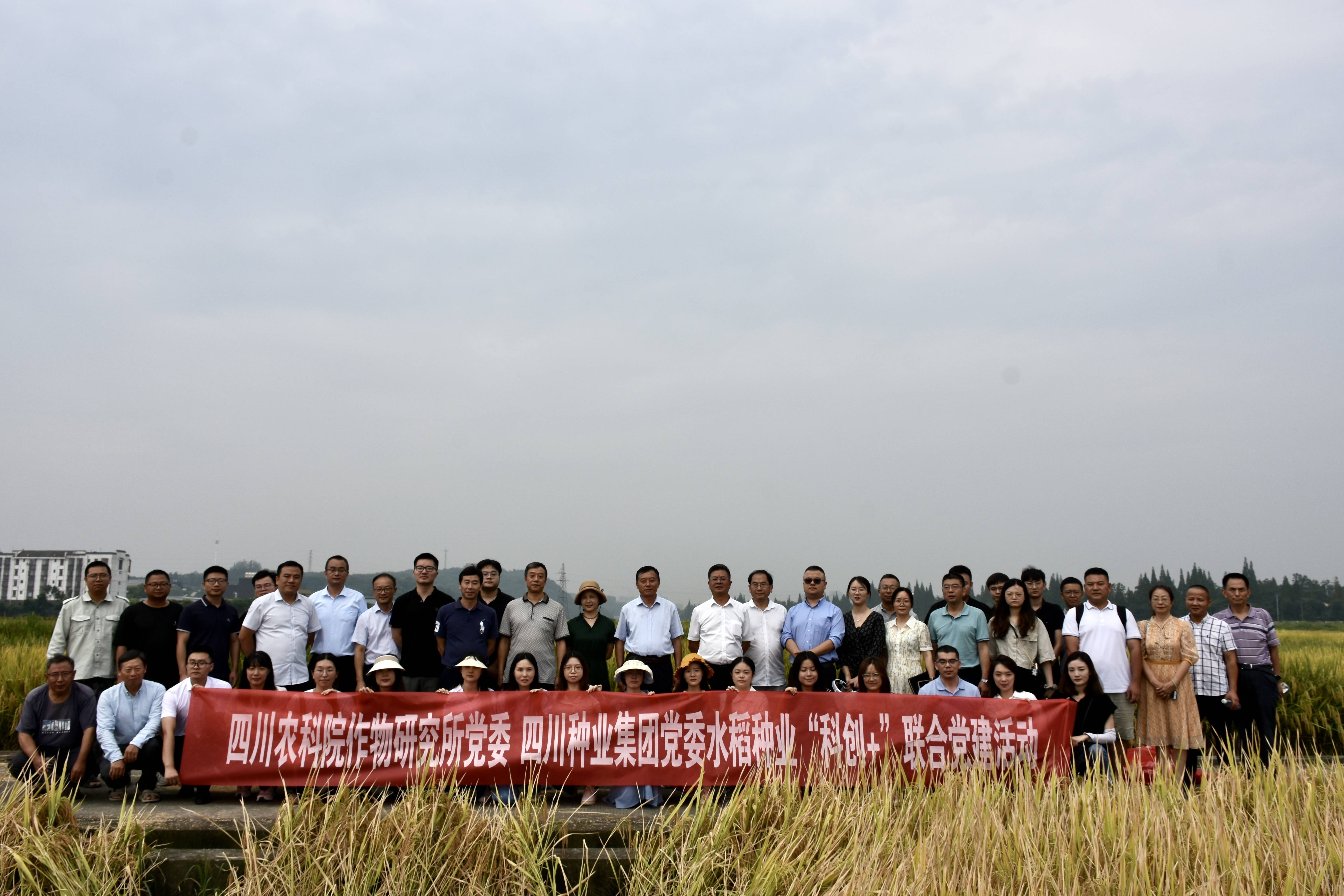 2023年9月6日巨星国际官网 省农科院作物钻研所结合发展水稻种业“科创+”党建活动2（邓皓然拍摄）(1).jpg