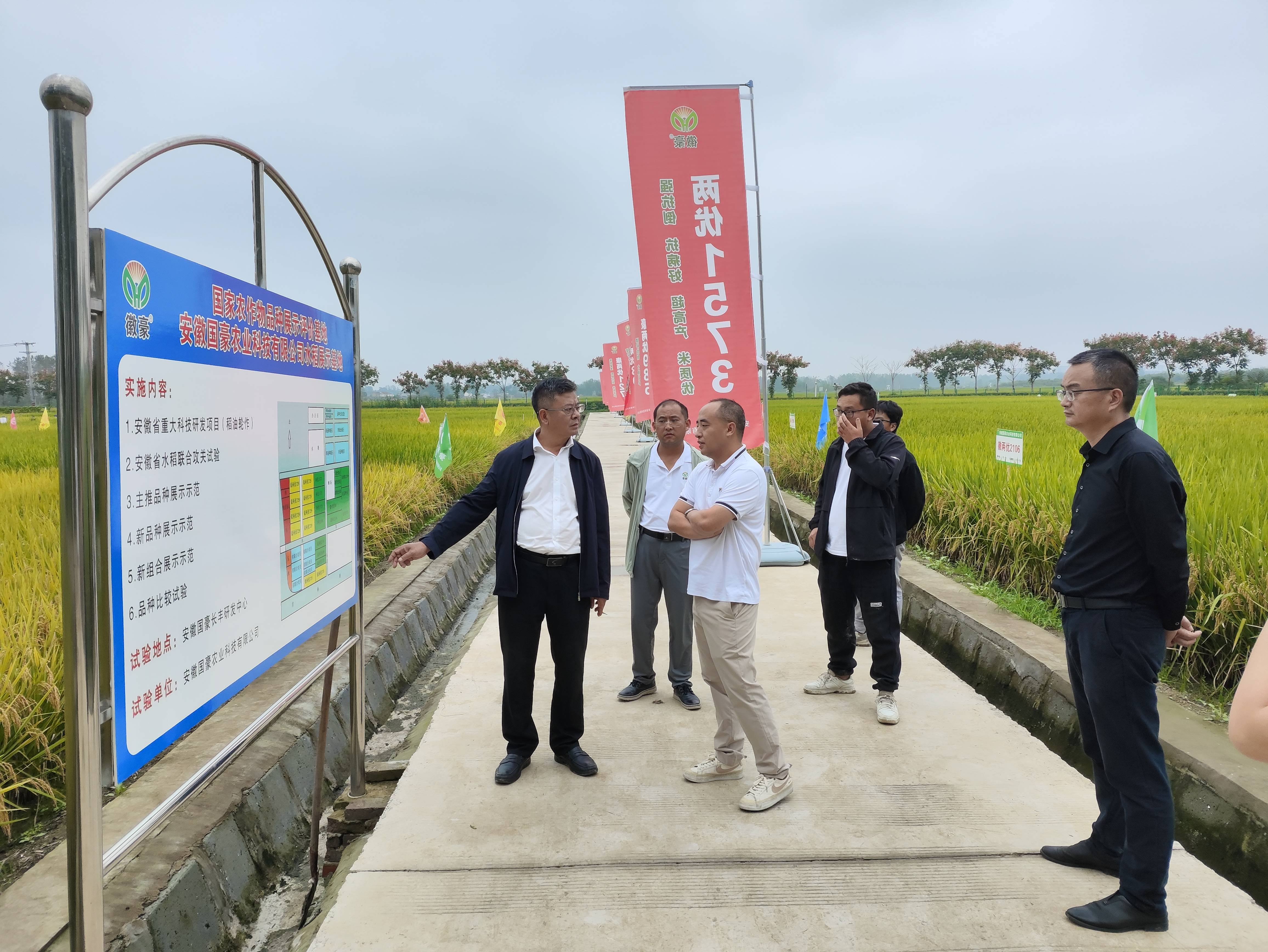 易飞赴安徽岳阳参与全国种子双交会(1).jpg