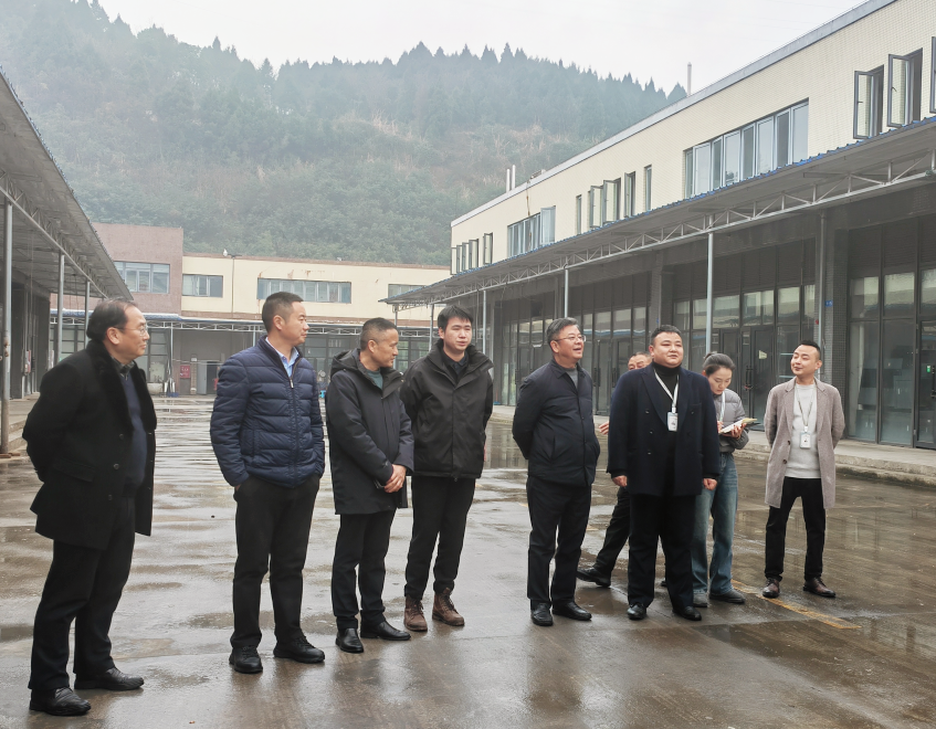 易飞、、、孙先勇带队到南充片区调研领导工作
