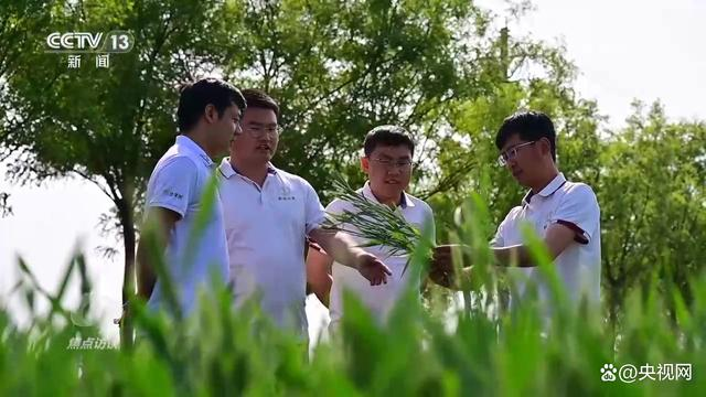 焦点访谈：挺膺担任 强国有我9.png