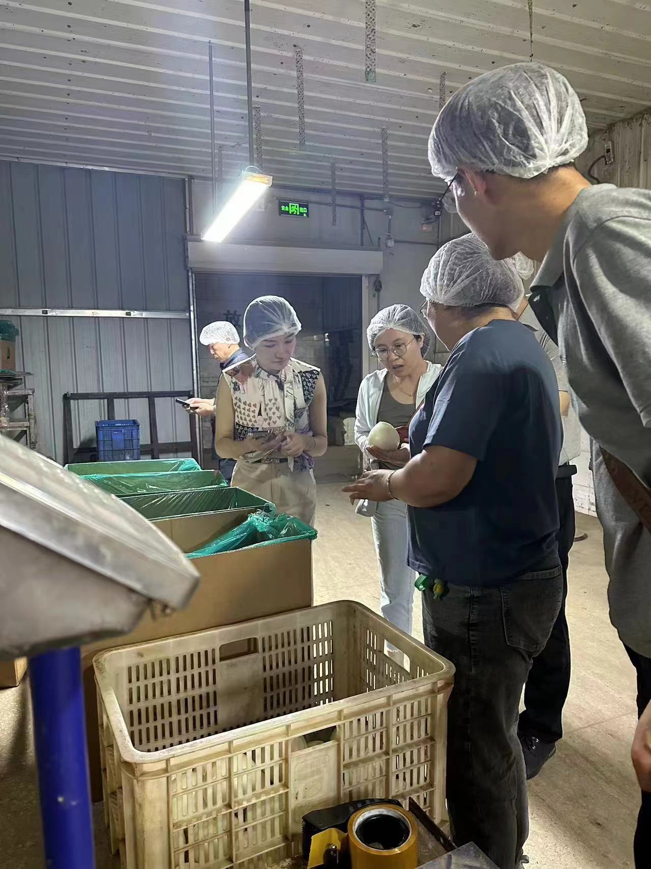 科威洋葱种业赴山东发展洋葱加工出口业务调查互换1.jpg
