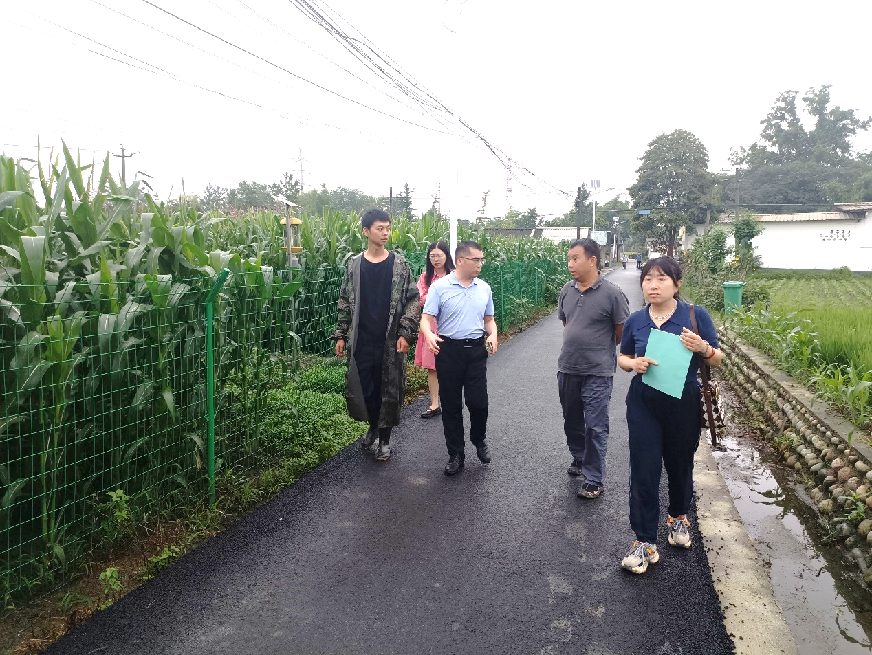 科创中心迎接省农业村落厅玉米生物育种试验基地专项查抄.png
