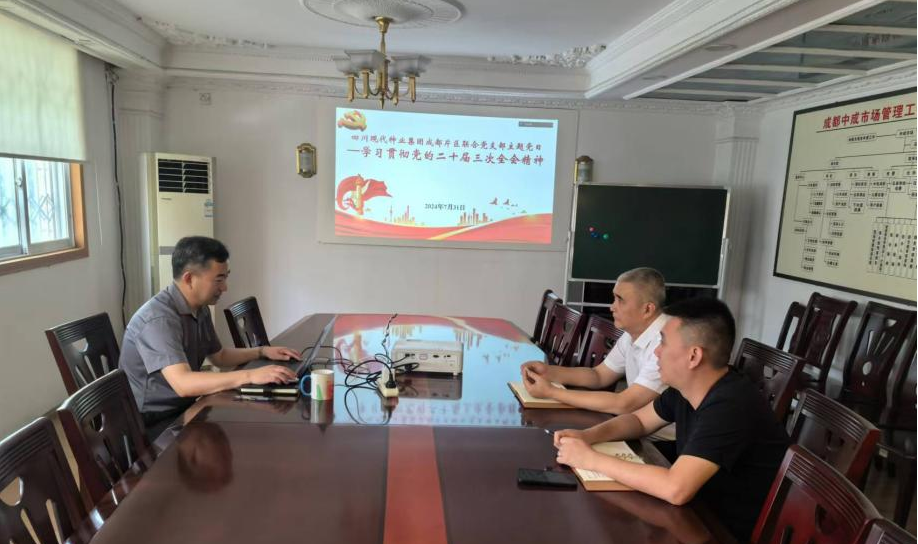 66a9f7d171805.png 成都片区结合党支部组织发展学习贯彻党的二十届三中全会心灵主题党日活动1.png