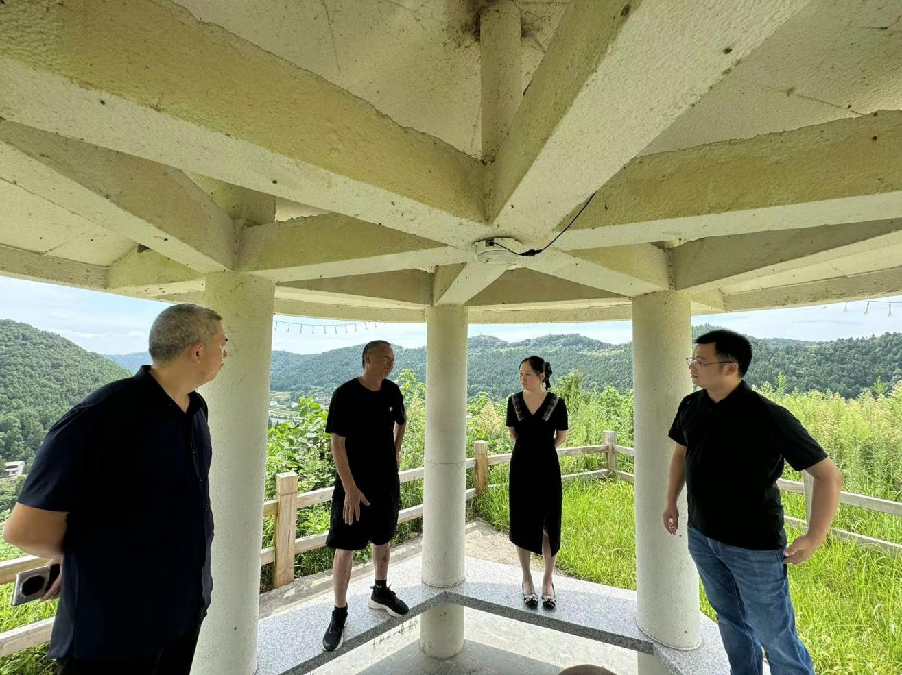 集润公司全面推动三台县三元镇彩花油菜项目.png