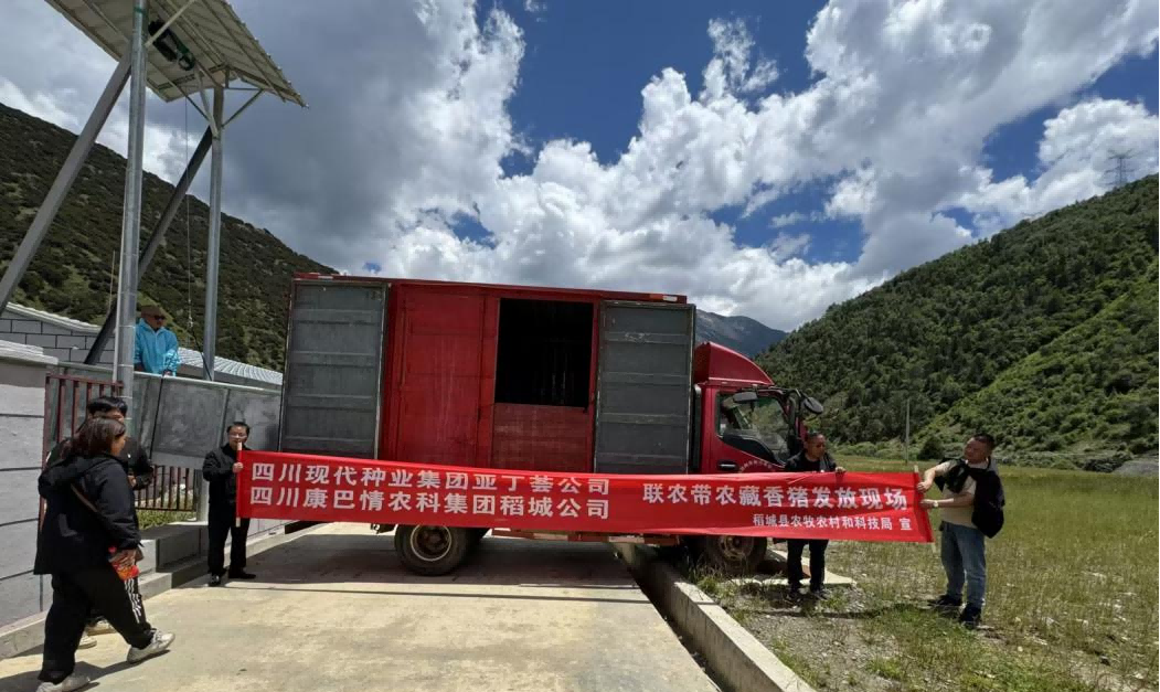 整合伙源联农带农 帮扶产业高效发展