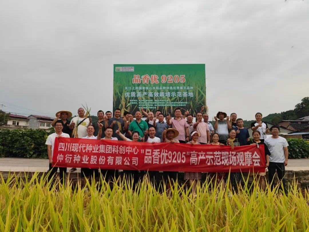 均匀亩产797.7公斤！！！集团水稻种类“品香优9205”高产示范方实收测产1.jpg