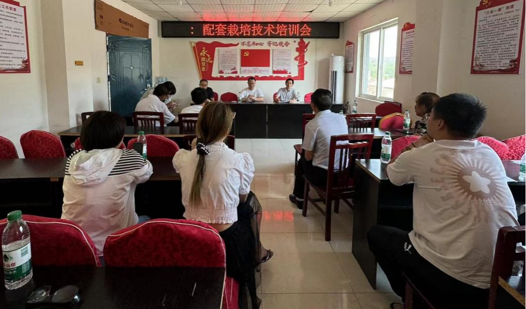 66e949c166671.png 集润公司携手科创中心推动绵阳市三元镇油菜示范基地建设3(1).png