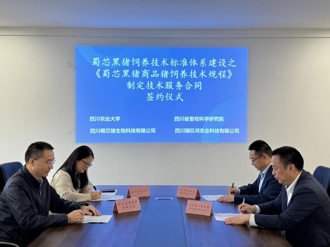 蜀芯猪公司与川农大、、、省畜科院、、、瑞玖鸿公司进行签约典礼  共同推动蜀芯黑猪豢养技术尺度系统建设.png