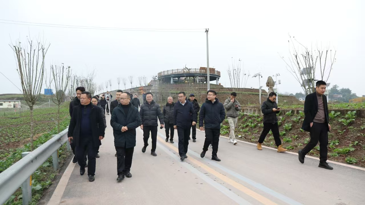 自贡市2025年小春粮油出产现场会在种芯农业公司基地召开