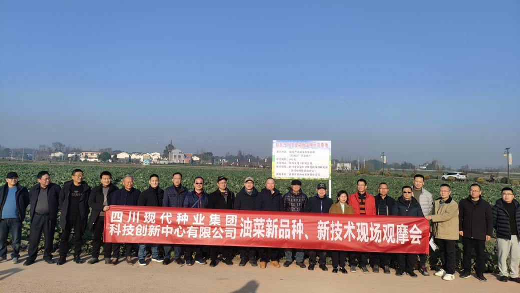 科创中心结合多家单元进行油菜新种类、、、新技术观摩会2.png