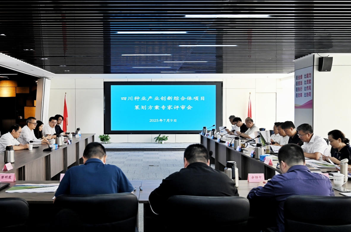 巨星国际官网组织召开四川种业产业创新综合体项目策动规划专家评审会