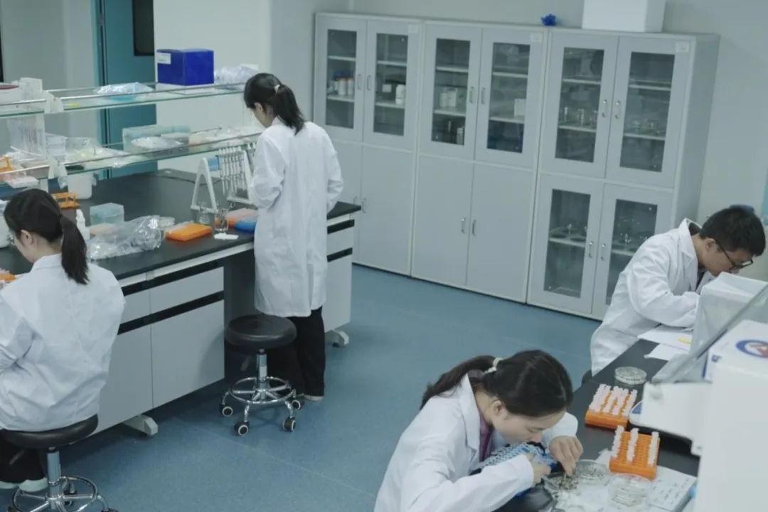 彰显种业科技硬实力！！！巨星国际官网结合共建尝试室入选省重点