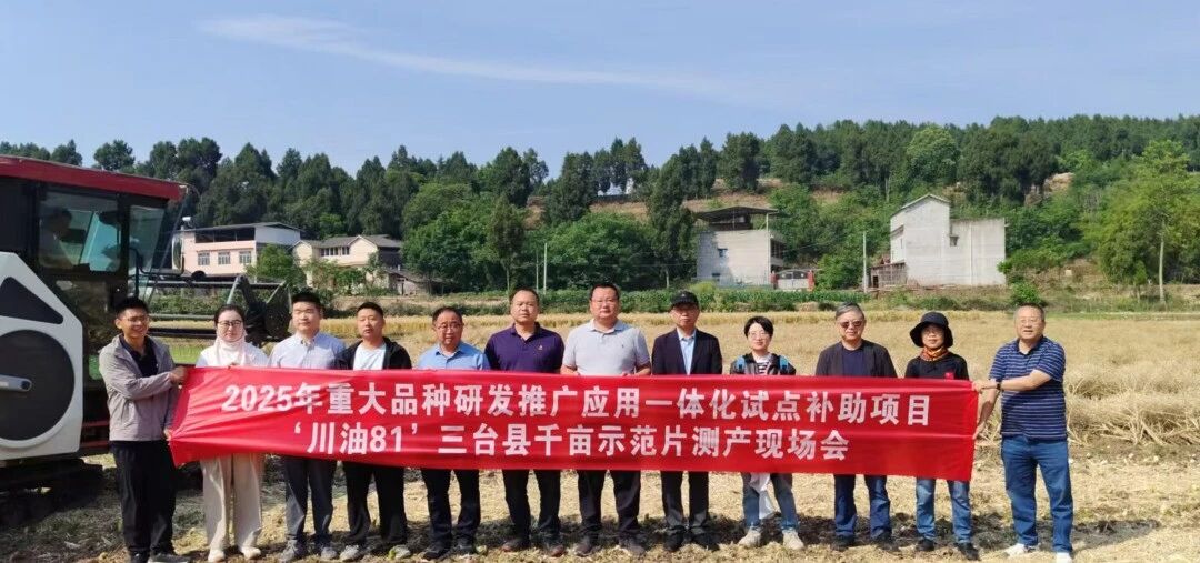 油菜种类迎“大考” 交出亮眼“成就单”