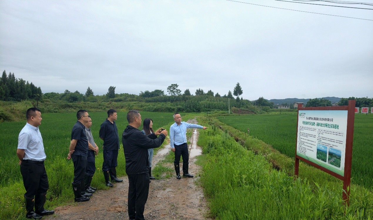 6a3fff1185ef7.jpg 配图.jpg